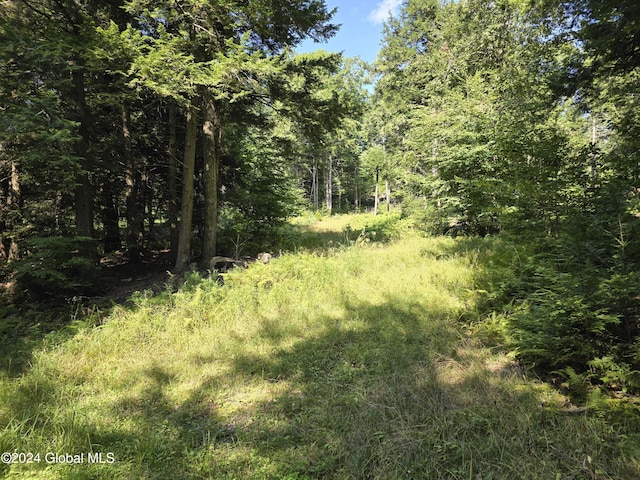 L3.2 Black River Rd, Stephentown, NY 12169 - photo 2