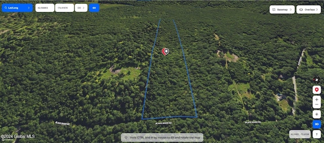 L3.2 Black River Rd, Stephentown, NY 12169 - photo 3