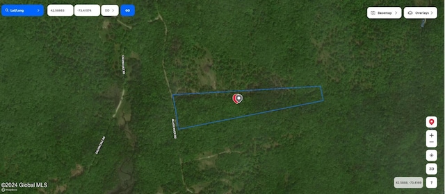 L3.2 Black River Rd, Stephentown, NY 12169 - photo 4