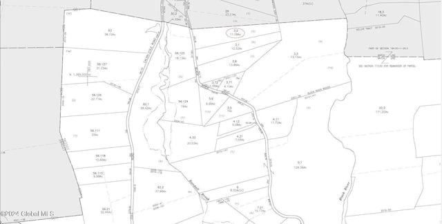 L3.2 Black River Rd, Stephentown, NY 12169 - photo 7