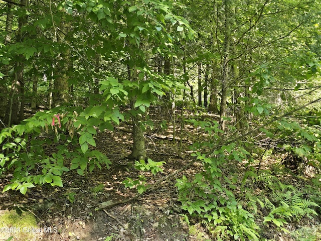 L3.2 Black River Rd, Stephentown, NY 12169 - photo 8
