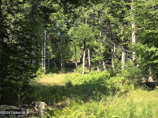 L3.2 Black River Rd, Stephentown, NY 12169 - photo 9