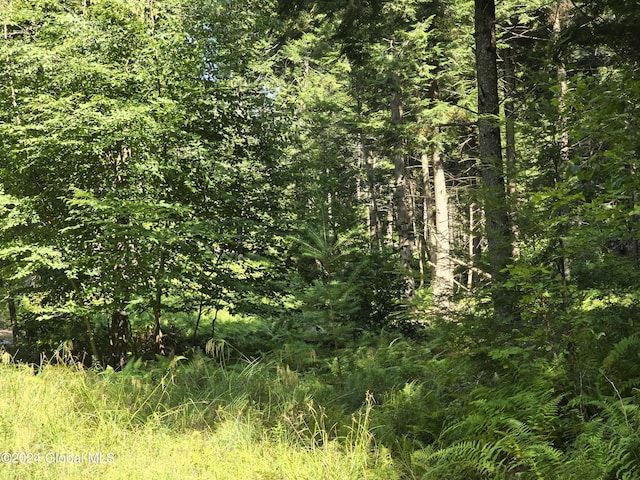 L3.2 Black River Rd, Stephentown, NY 12169 - photo 10
