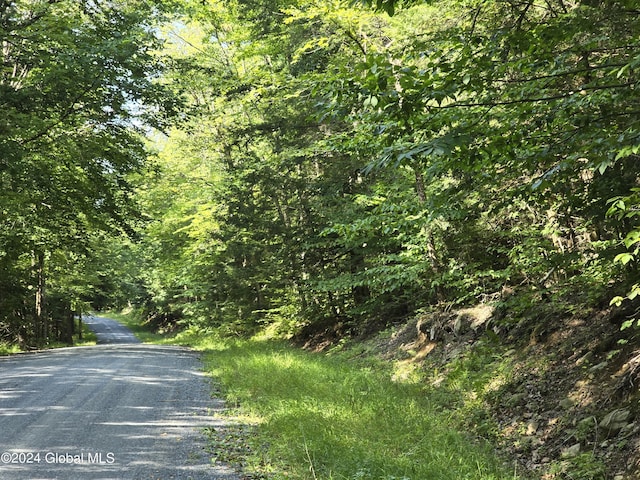 L3.2 Black River Rd, Stephentown, NY 12169 - photo 12