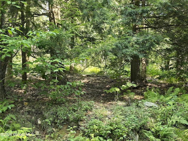 L3.2 Black River Rd, Stephentown, NY 12169 - photo 13
