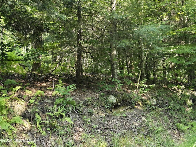 L3.2 Black River Rd, Stephentown, NY 12169 - photo 14