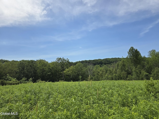 L20.34 E Rd, Stephentown, NY 12168 - photo 1