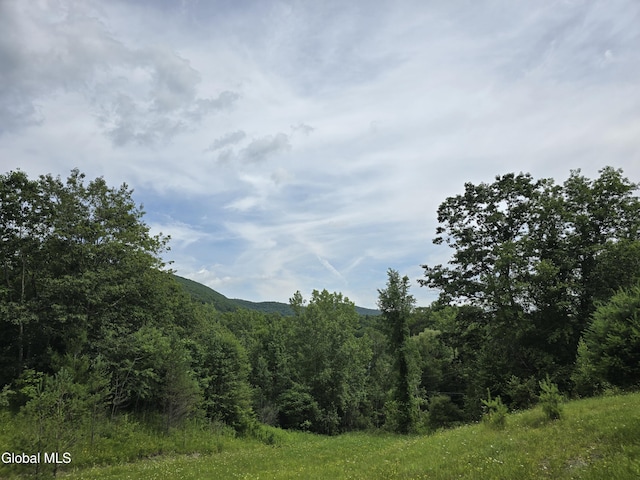 L20.34 E Rd, Stephentown, NY 12168 - photo 2