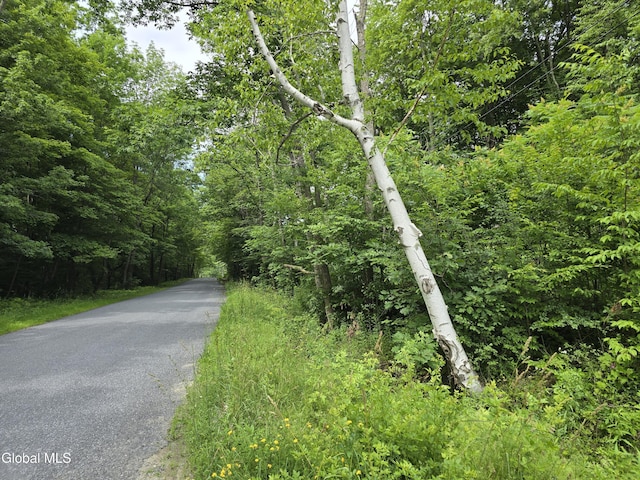L20.34 E Rd, Stephentown, NY 12168 - photo 3
