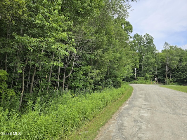 L20.34 E Rd, Stephentown, NY 12168 - photo 4