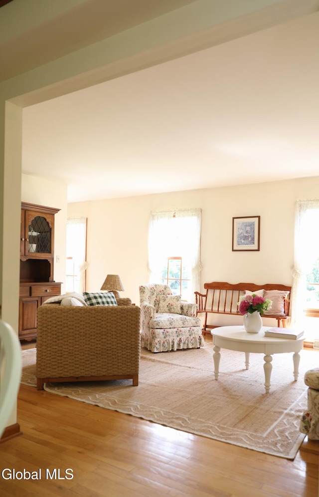 1031 Shannon Blvd, Niskayuna, NY 12309 - photo 23