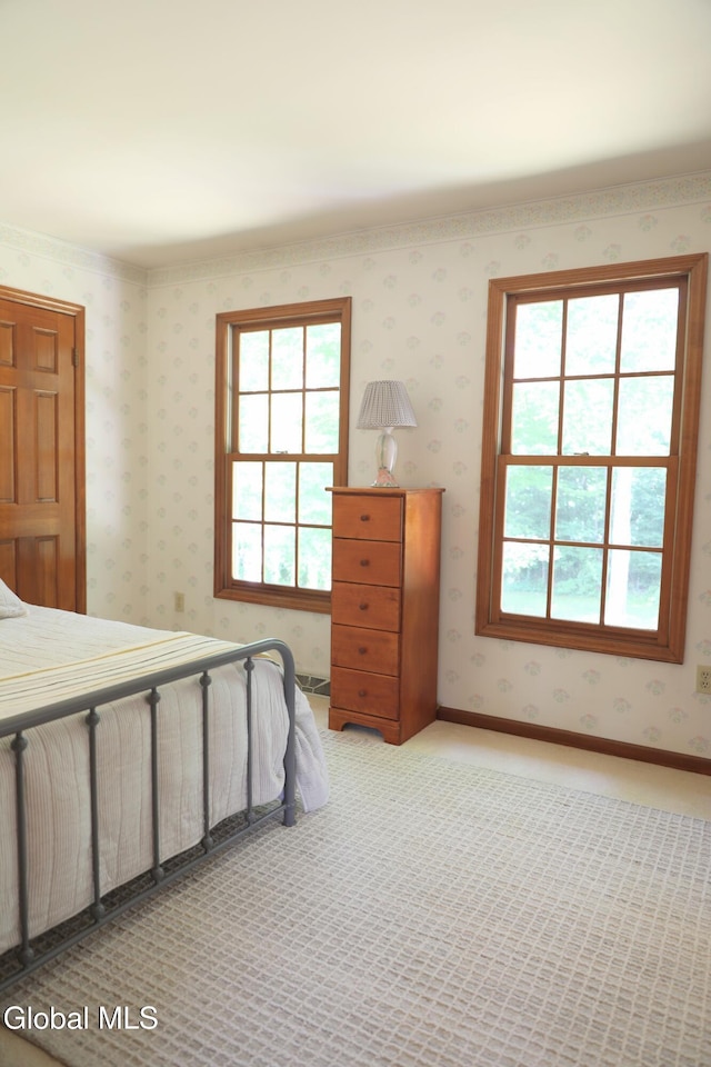 1031 Shannon Blvd, Niskayuna, NY 12309 - photo 36