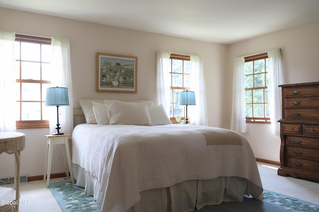 1031 Shannon Blvd, Niskayuna, NY 12309 - photo 40