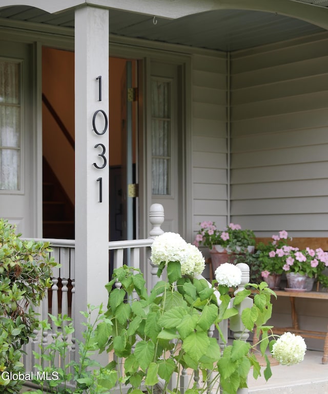 1031 Shannon Blvd, Niskayuna, NY 12309 - photo 49