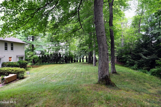 1031 Shannon Blvd, Niskayuna, NY 12309 - photo 48