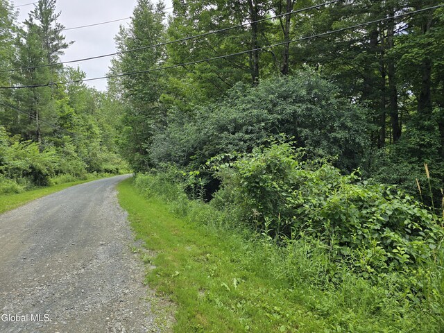 0 Robinson Hollow Way, Stephentown, NY 12168 - photo 2