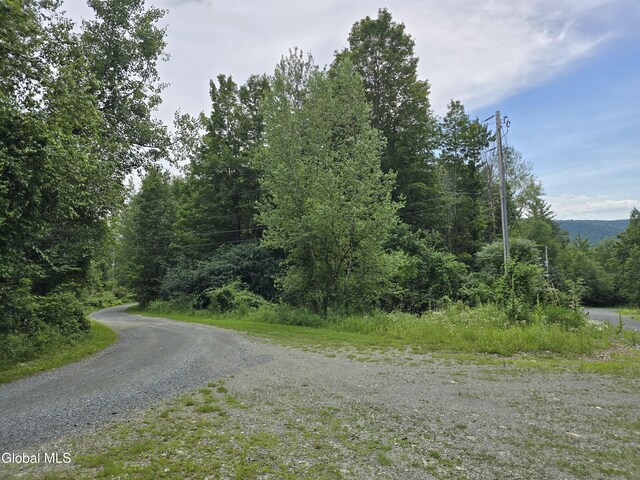0 Robinson Hollow Way, Stephentown, NY 12168 - photo 4