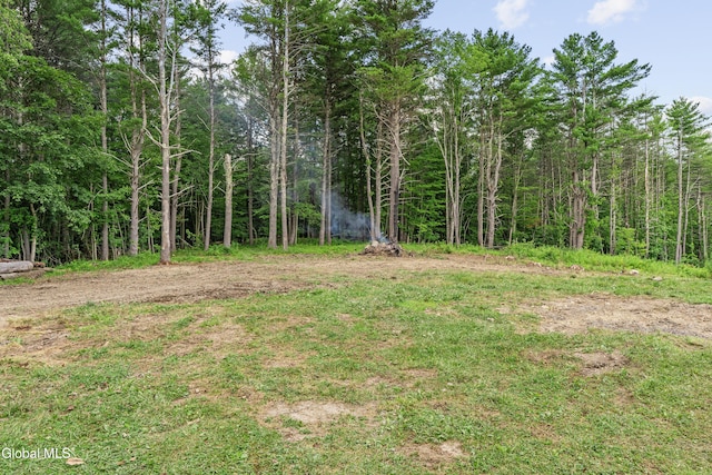 192 Benninger Rd, Wright, NY 12053 - photo 48