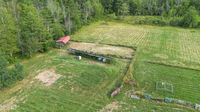 192 Benninger Rd, Wright, NY 12053 - photo 53