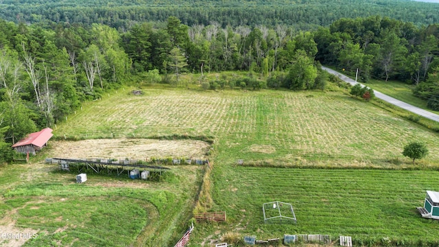 192 Benninger Rd, Wright, NY 12053 - photo 54