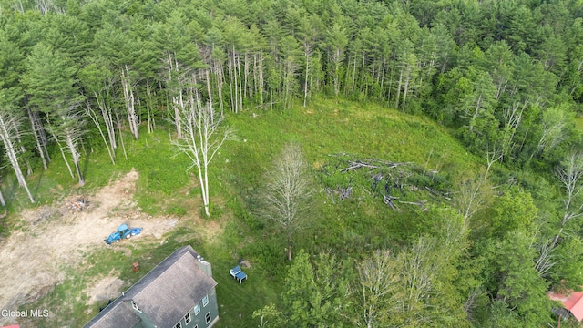 192 Benninger Rd, Wright, NY 12053 - photo 57