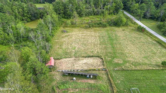 192 Benninger Rd, Wright, NY 12053 - photo 58