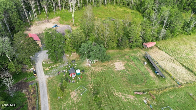 192 Benninger Rd, Wright, NY 12053 - photo 61