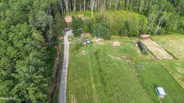 192 Benninger Rd, Wright, NY 12053 - photo 63