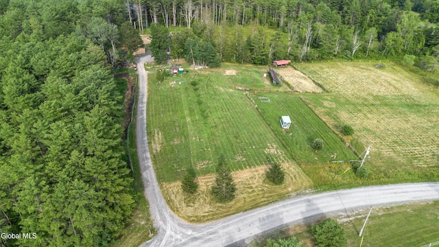 192 Benninger Rd, Wright, NY 12053 - photo 64