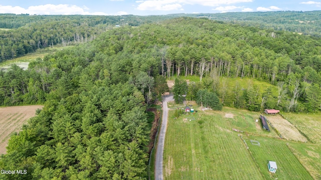 192 Benninger Rd, Wright, NY 12053 - photo 66