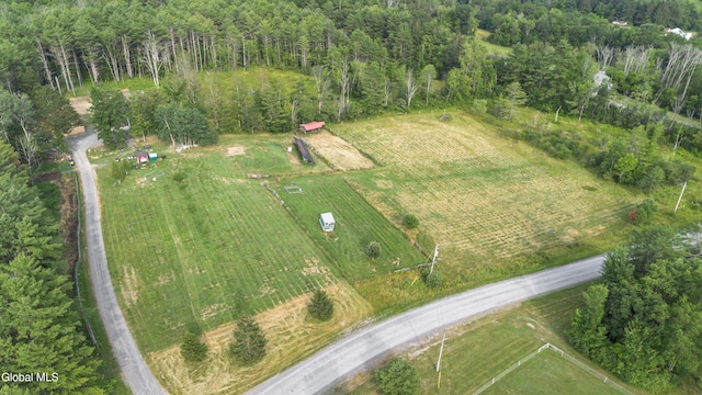 192 Benninger Rd, Wright, NY 12053 - photo 69