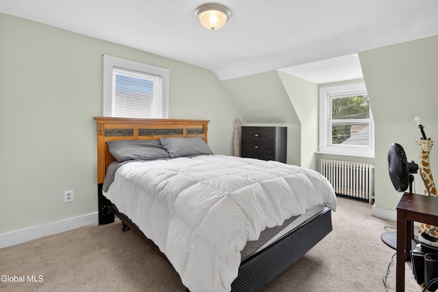29 Amsterdam Ave, Menands, NY 12204 - photo 14