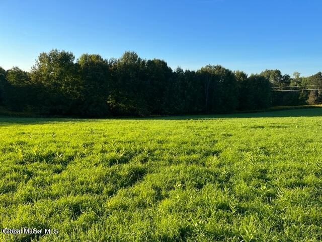 L32.08 Ouleout Rd, Pittsfield, NY 13411 - photo 1