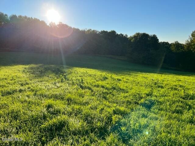 L32.08 Ouleout Rd, Pittsfield, NY 13411 - photo 2
