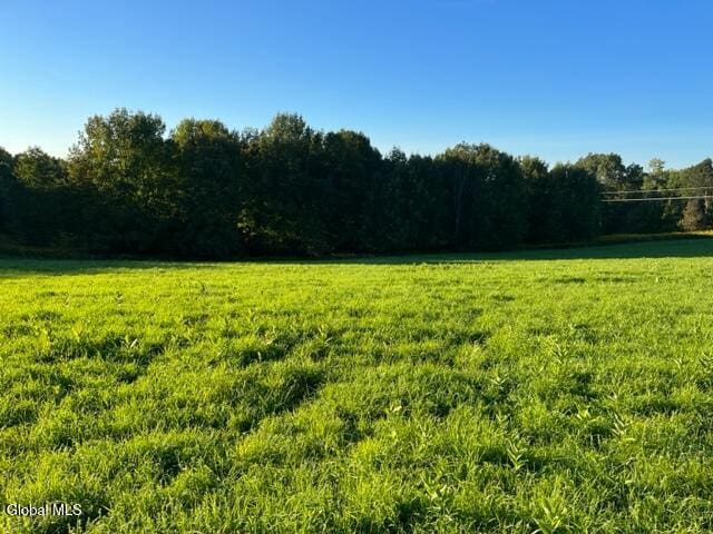 L32.08 Ouleout Rd, Pittsfield, NY 13411 - photo 3