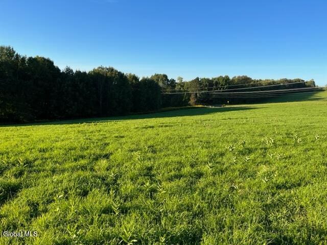 L32.08 Ouleout Rd, Pittsfield, NY 13411 - photo 4