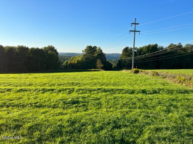 L32.08 Ouleout Rd, Pittsfield, NY 13411 - photo 6