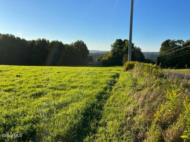 L32.08 Ouleout Rd, Pittsfield, NY 13411 - photo 8