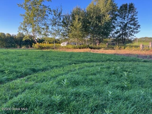 195 Ouleout Rd, Pittsfield, NY 13411 - photo 4