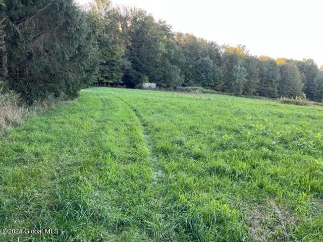 195 Ouleout Rd, Pittsfield, NY 13411 - photo 5