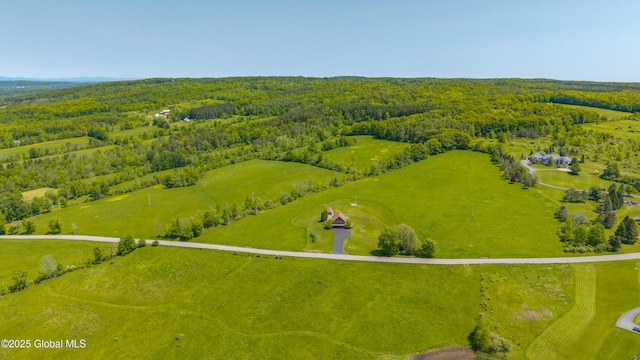 1756-1758 Mcguire School Rd, Delanson, NY 12053 - photo 4