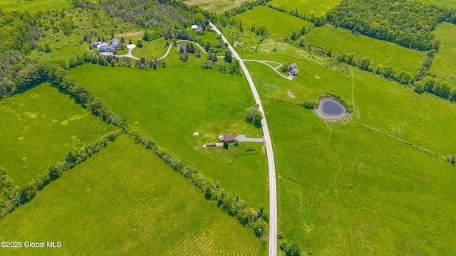 1756-1758 Mcguire School Rd, Delanson, NY 12053 - photo 2
