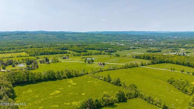 1756-1758 Mcguire School Rd, Delanson, NY 12053 - photo 8