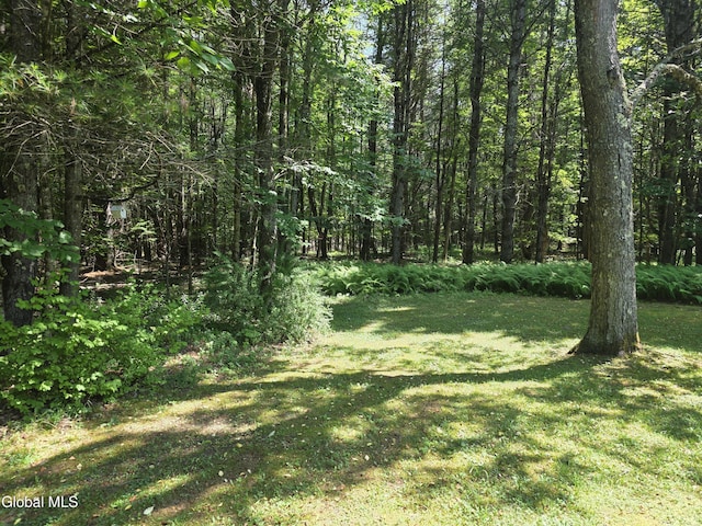 31 Sinclair Rd, Edinburg, NY 12134 - photo 43