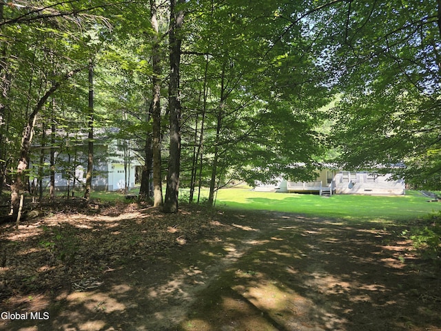 31 Sinclair Rd, Edinburg, NY 12134 - photo 44