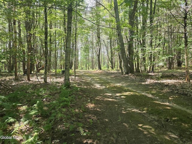 31 Sinclair Rd, Edinburg, NY 12134 - photo 45