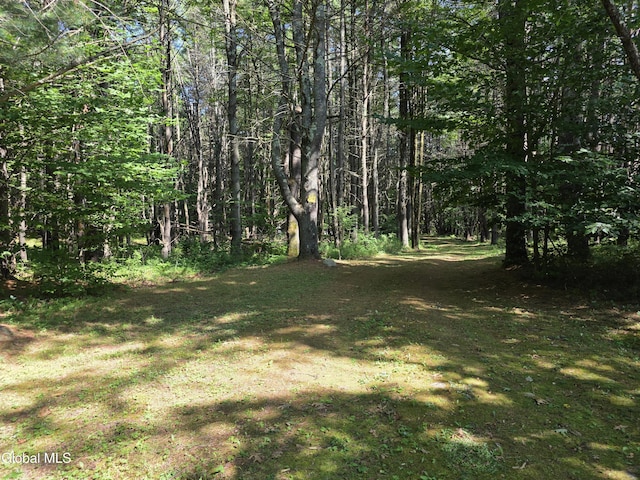 31 Sinclair Rd, Edinburg, NY 12134 - photo 46