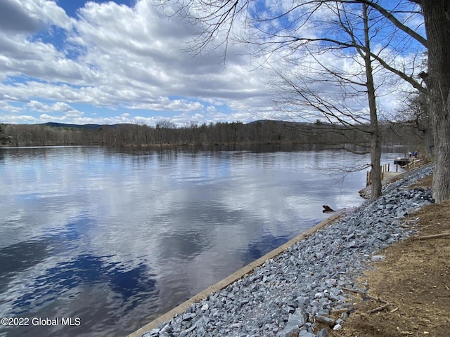 67 Palmer Dr, Queensbury, NY 12804 - photo 34