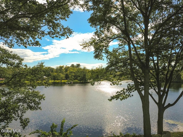 67 Palmer Dr, Queensbury, NY 12804 - photo 6