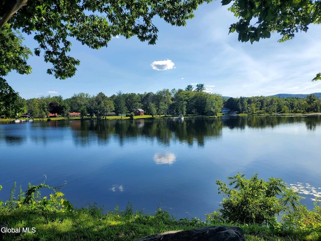 67 Palmer Dr, Queensbury, NY 12804 - photo 5